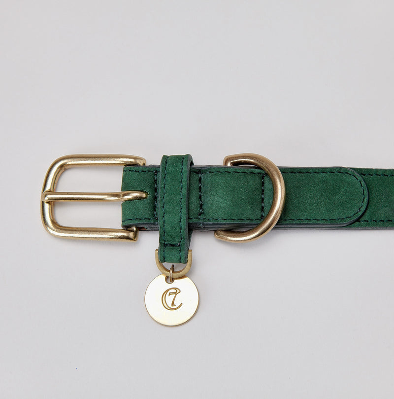 luxury leather green dog collar