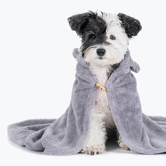 cute cat dog towel