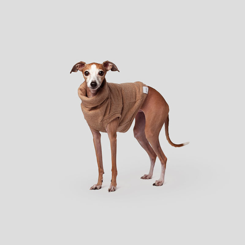 soft dog clothing to keep them warm