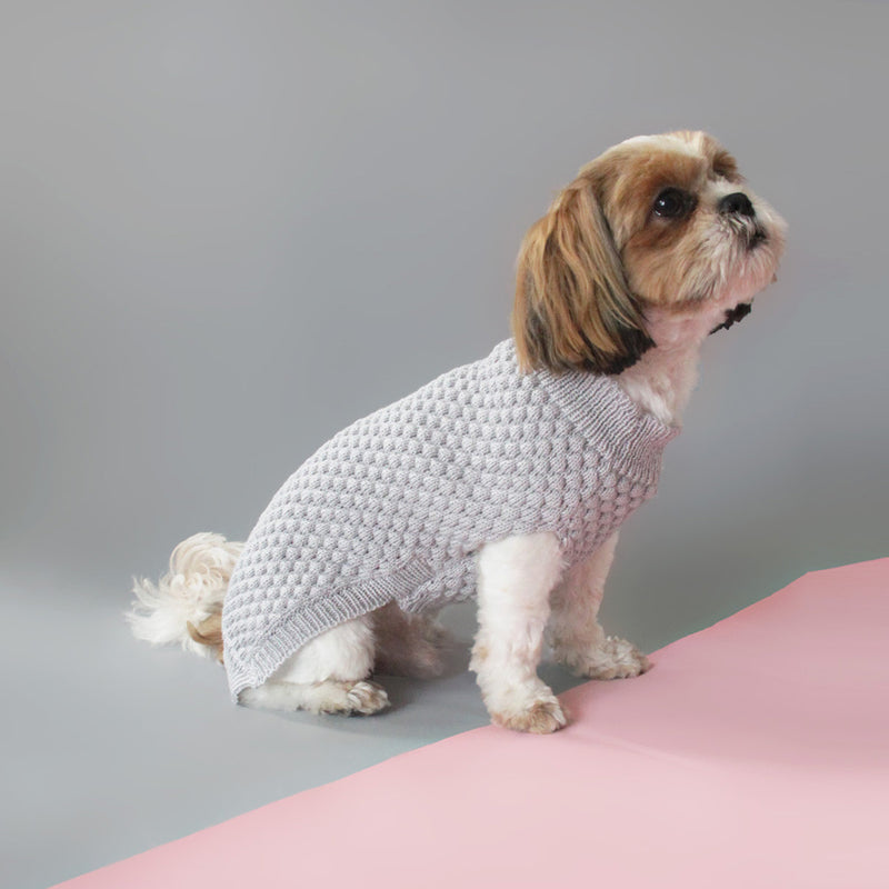 British designer dog jumper