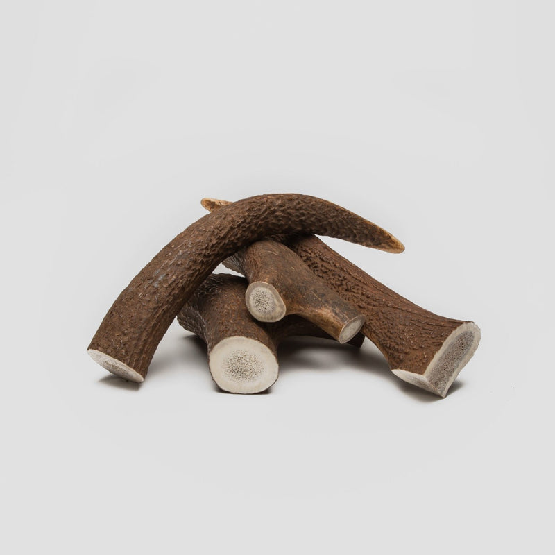 antler chews for dogs and puppies