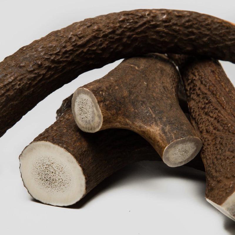 antler chews for dogs and puppies