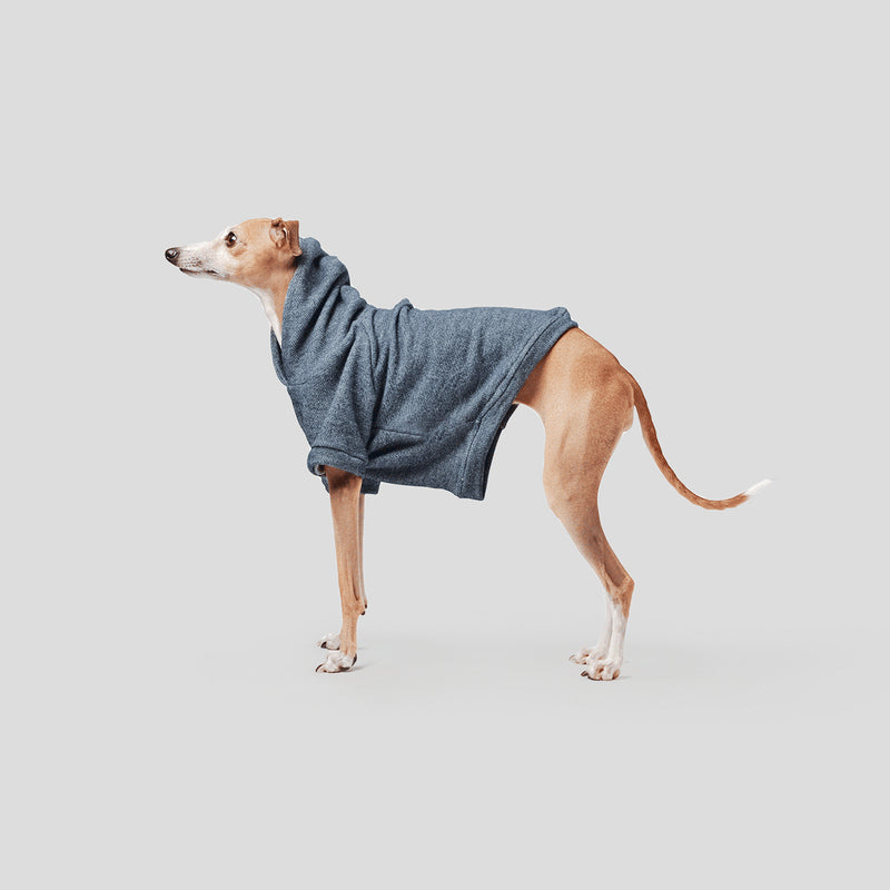 best designer dog clothes uk