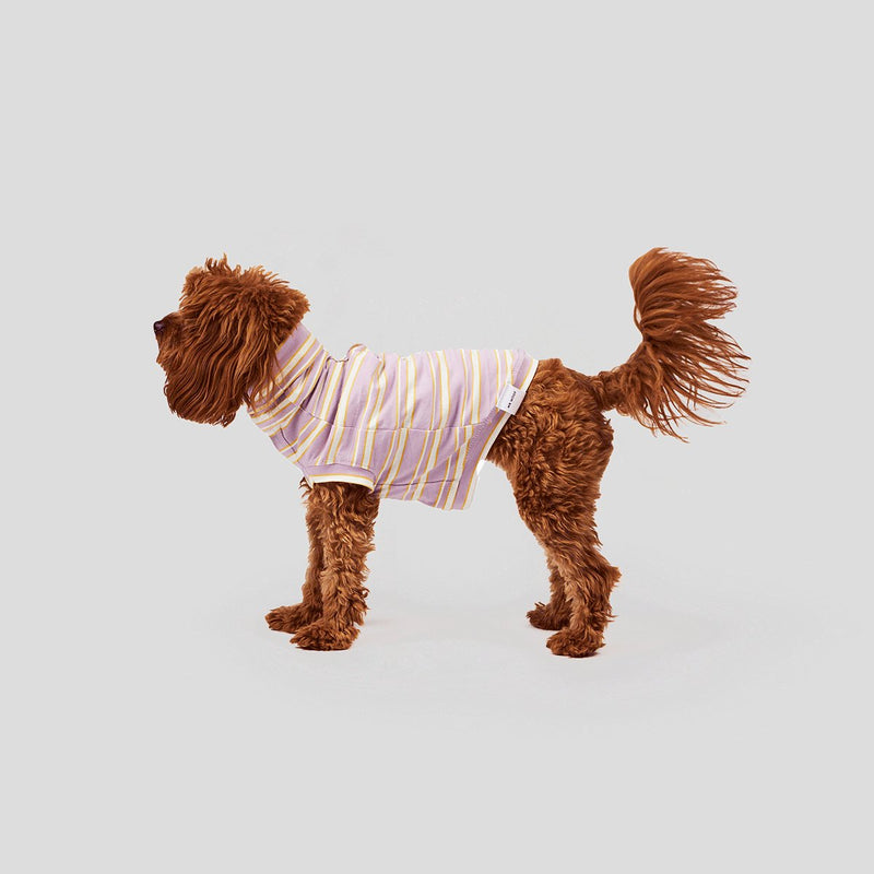cute clothes for dogs