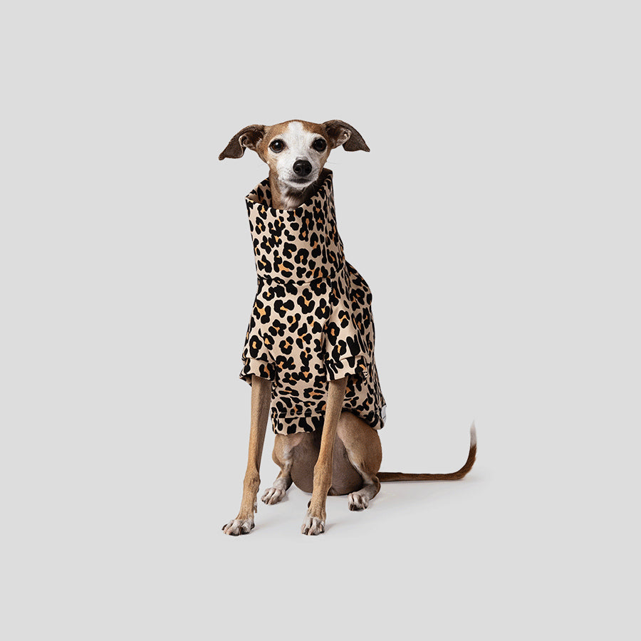 Mister Woof Remi leopard print Dog Jumper
