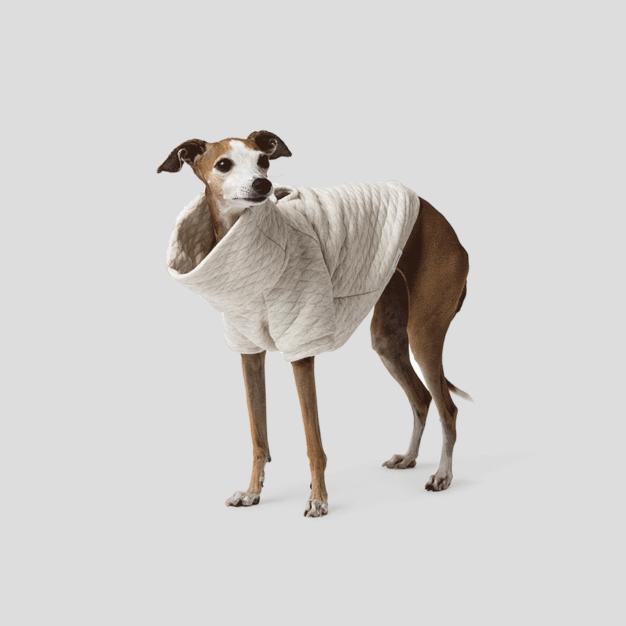 Mister Woof Whitney Quilted Dog Jumper