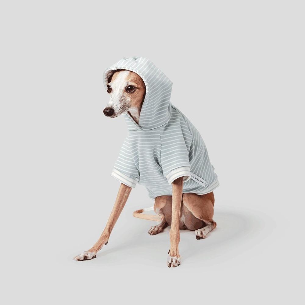 Mister Woof Andy Dog Hoodie