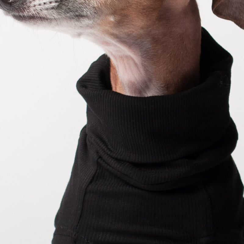 black designer turtleneck for dogs