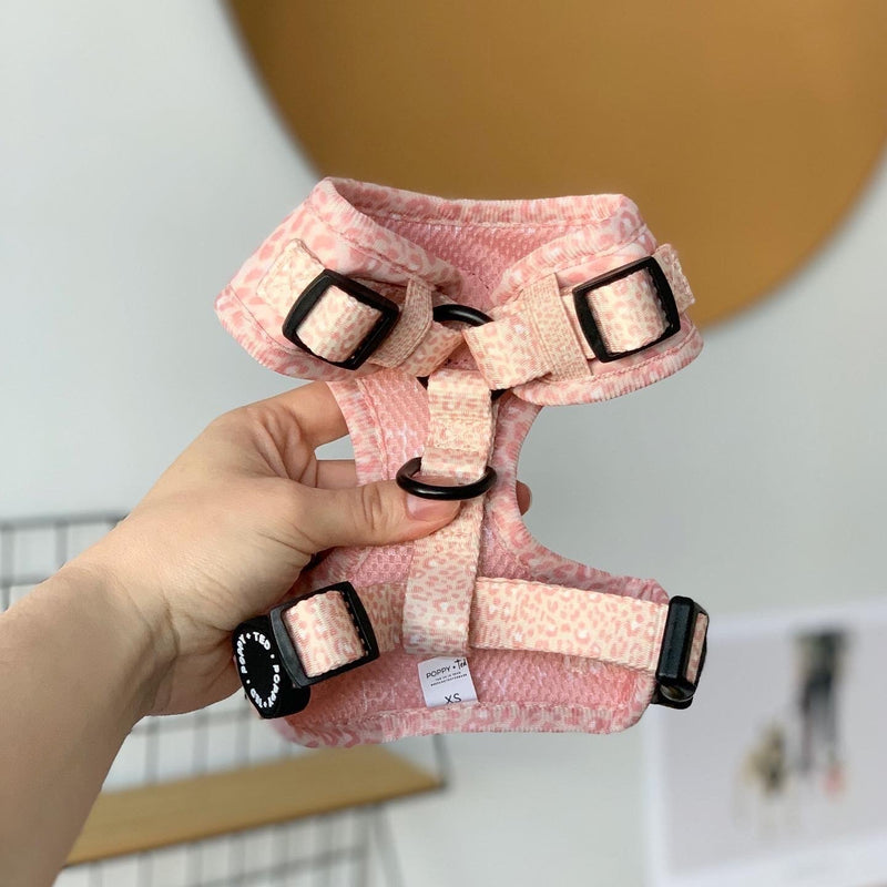 Poppy + Ted Pink Panther Dog Harness