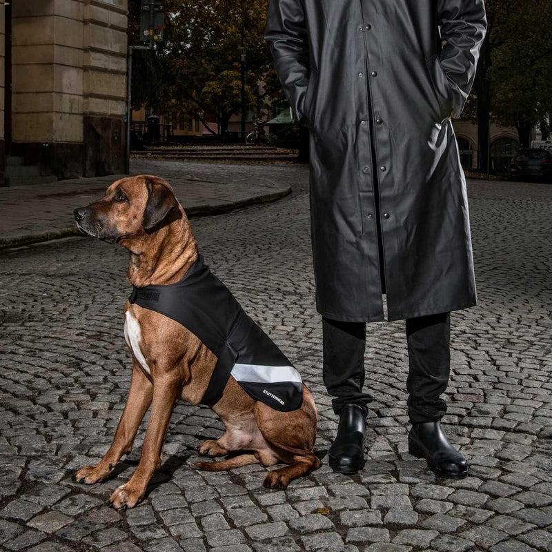 stutterheim dog coat