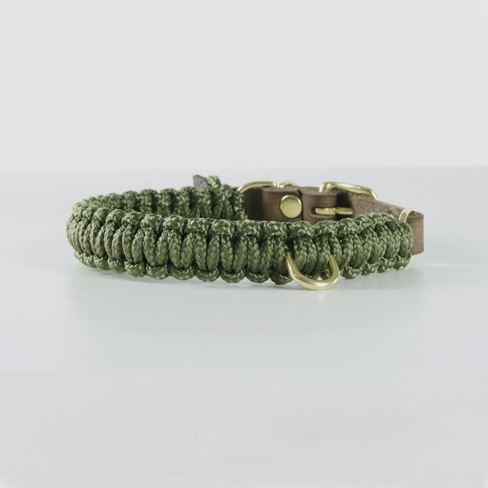 green rope dog collar