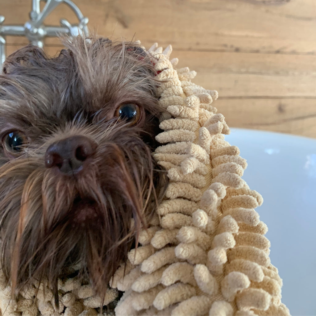 dog grooming towel