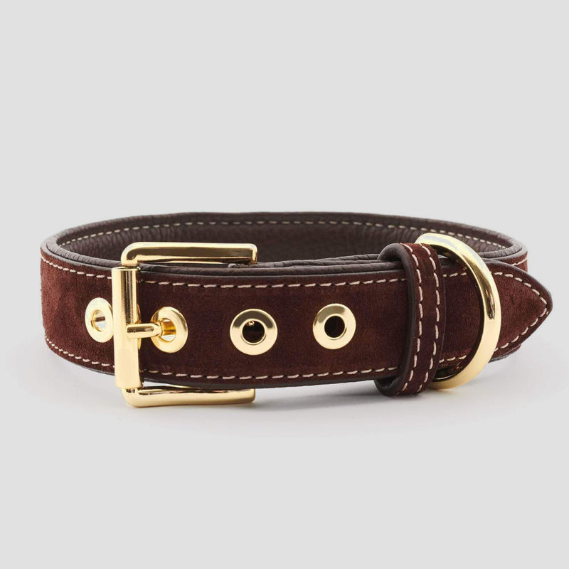 William Walker Leather Dog Collar uk